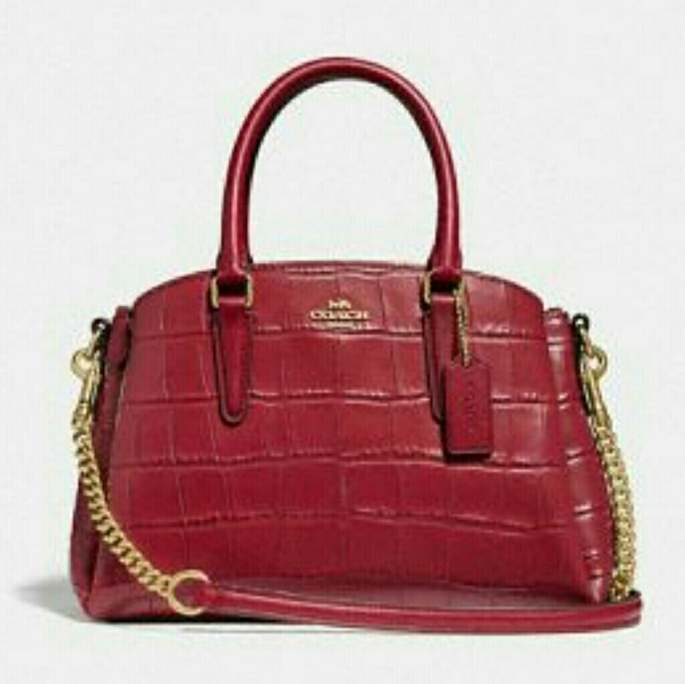 Mini Sage Carryall